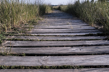 Wooden Pathway Trail Near The Beach