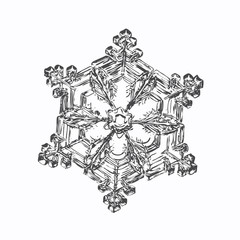 Naklejka premium Transparent snowflake on white background. This vector illustration based on macro photo of real snow crystal: small star plate with six short, broad arms, glossy surface and complex inner structure.