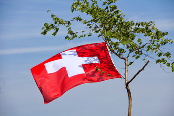 Schweizer Flagge hängt im Baum