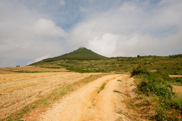 Camino de Santiago as it passes through Navarra