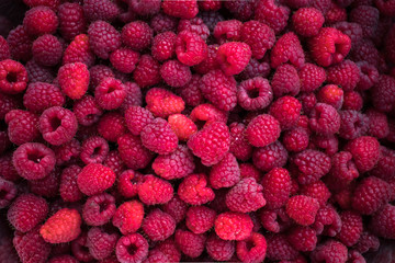 Fresh and sweet raspberries background