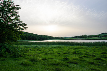 field with a lake and a forest