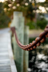 Bridge with metal chain 2
