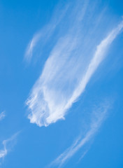 an unusual form of cloud in the sky