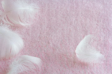 fluffy white feathers on soft pink cashmere, gentle knitted background