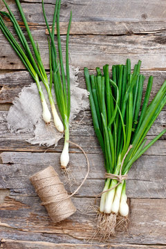 Heap of fresh young onion on wooden background