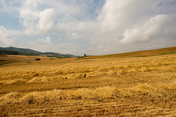 Camino de Santiago as it passes through Navarra