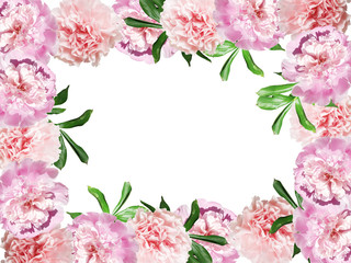 Beautiful floral background of carnations and peonies   
