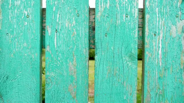 Old green wooden fence