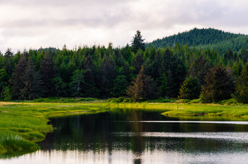 Cedar River, Pacific County, Washington, 2018