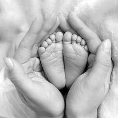 mom holds in her hands the feet of a newborn baby