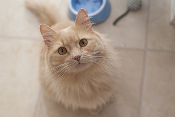 I am looking at you