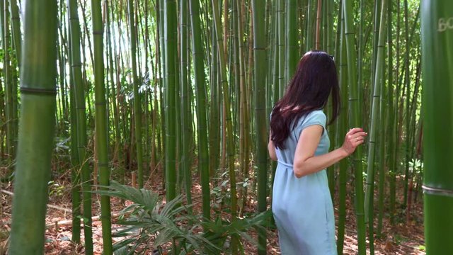 The girl going through the bamboo wood