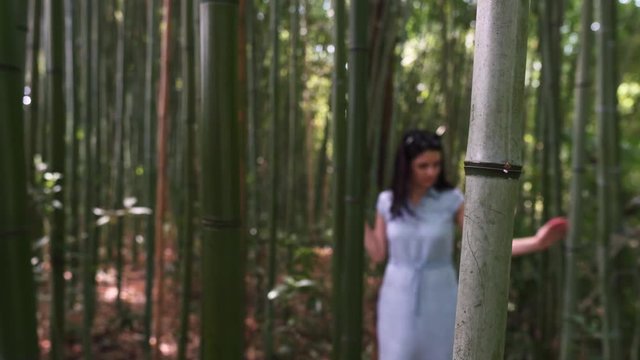 The young woman makes the way through bamboo thickets. The girl goes through the bamboo wood.