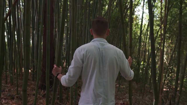 The man going through the bamboo wood.