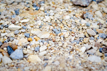 Small rocks on wooded road in nature near a river, at noon and clear skies, close up, with yellow, grizzly, blue piedars