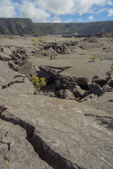 Naklejka premium Rugged Kilauea Iki Trail