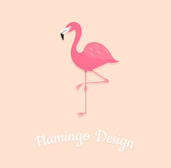 Flamingo bird on pink background