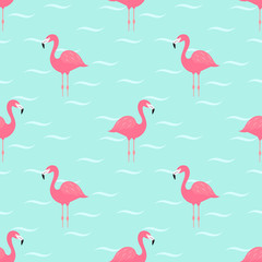 Flamingos in water