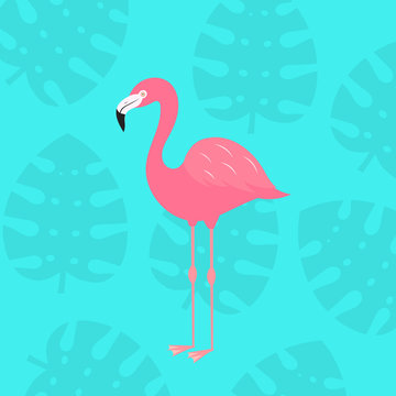 Tropical flamingo bird