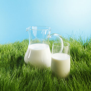 Milk jug and glass on grass field