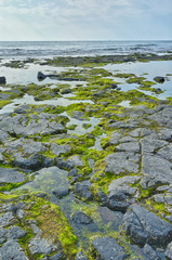 Portrait Landscape Big Island Hawaii.