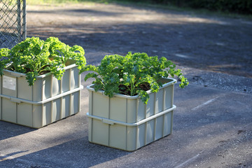 Luftmessstation im Teutoburger Wald