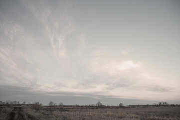 view on the field, vintage view, processing, film filters