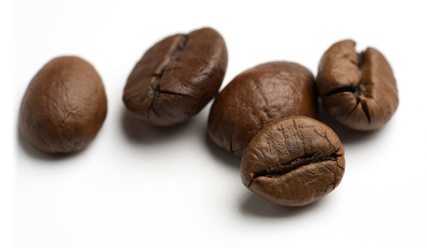close up of dark roasted fair trade coffee beans