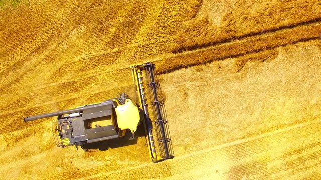 Aerial view of combine harvester. Harvest of wheat field. Industrial background on agricultural theme. Biofuel and food production from above. Agriculture and environment in European Union. 