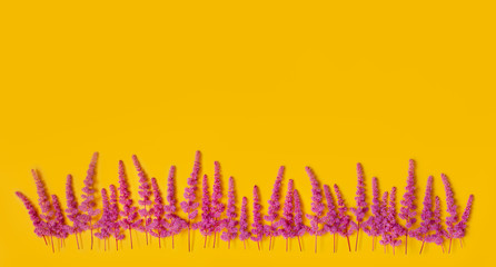 Horizontal composition made of pink field flowers on yellow background
