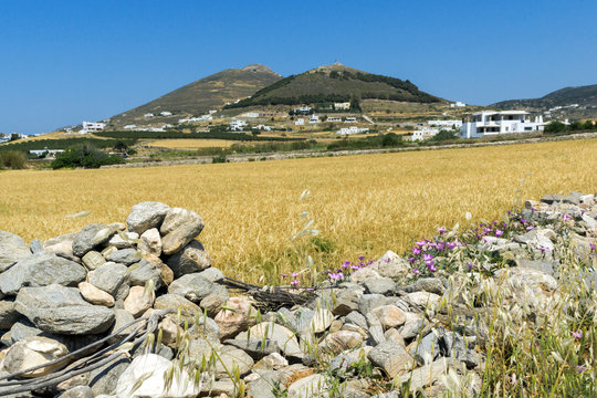 Typical Rural landscape near town of Parakia, Paros island, Cyclades, Greece