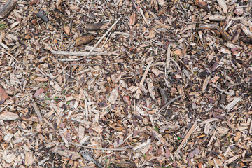sawdust