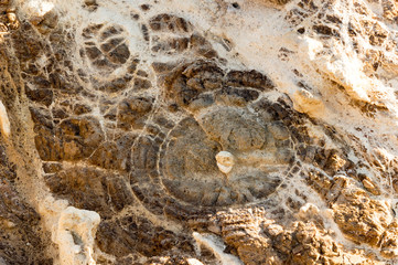 Circular rock formation