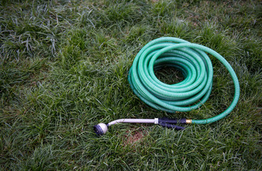 Naklejka premium Green Garden Hose Rolled on Grass 