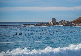 Carmel By the Sea