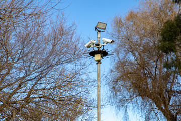 Security cameras on a pole with lighting in a public park