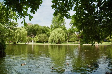 Stunning Landscape views of the Boston Public Garden in Boston, Massachusetts.