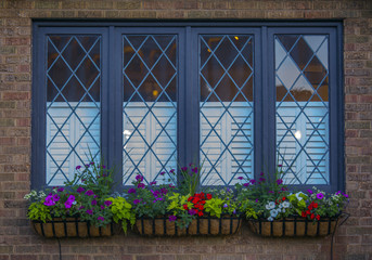 Flower pots with colorful flowers outside windows