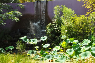 garden waterfall