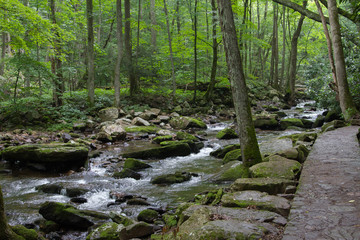 River Water Flowing Through Moss Covered Rocks in Jefferson National Forest in Giles, Virginia in Summer