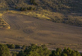 Freshly tilled farmland with landscape view
