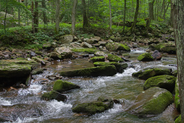 Naklejka na ściany i meble River Water Flowing Through Moss Covered Rocks in Jefferson National Forest in Giles, Virginia in Summer