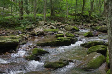 River Water Flowing Through Moss Covered Rocks in Jefferson National Forest in Giles, Virginia in Summer