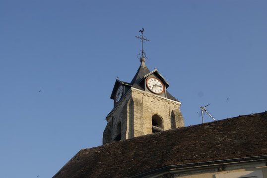 SONY DSC