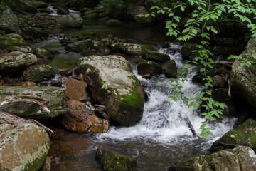 River Water Flowing Through Moss Covered Rocks in Jefferson National Forest in Giles, Virginia in Summer