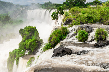 Wide angle landscape view of Iguazu falls waterfalls on a sunny day in summer. Photo taken from the Argentinian side.