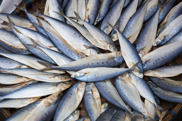 Dried fish