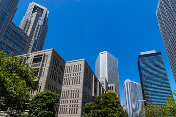 (東京都ｰ都市風景)西新宿都庁と高層ビルの風景１