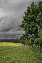 Fototapeta na wymiar Dark Clouds approaching tranquil farmland